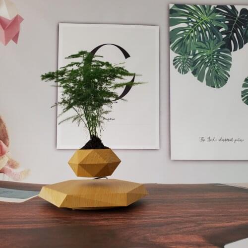 HCNT Magnetic Levitating Bonsai Floating Plant Holder Fashionable and Creative Gift for Christmas & Birthda