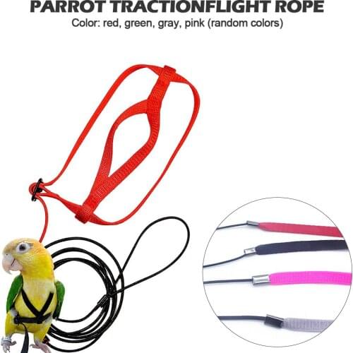 Parrot Harness And Leash Flying Anti-bite Traction Rope Bird Training Outdoor Carrying For Scarlet Macaw Parrots Birds Supplies