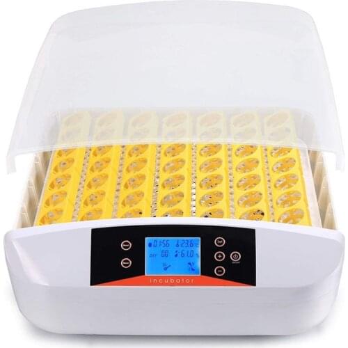 Farm Hatchery Machine 56 Eggs Hatchers Cheap Price Chicken Automatic Egg Incubator Birds Quail Brooder Fowl Animal Eggs