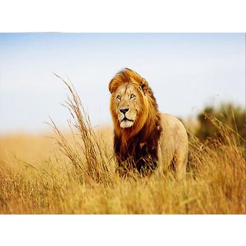 CraftArtGo 5D DIY Diamond Embroidery lion Full Square Round Rhinestone Mosaic Painting Cross Stitch Flowers Diamond Kit