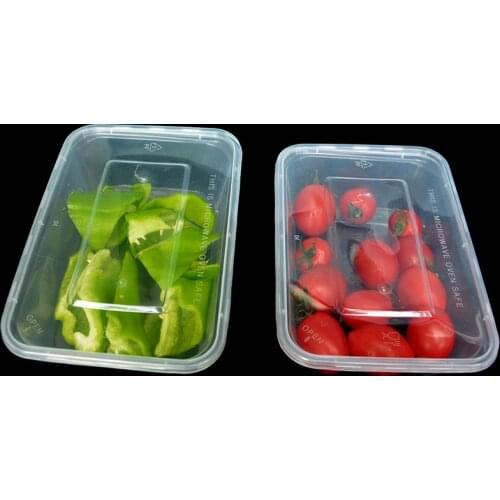 10Pcs Transparent Reusable Bento Box Meal Storage Food Takeaway Microwave Container With Lid Consumer and Commercial