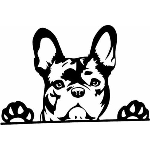 Creative Vinyl Car Sticker Paws Up French Bulldog Frenchie Bully Dog Decal for Vw Beetle Tucson Megane 2,15cm*10cm