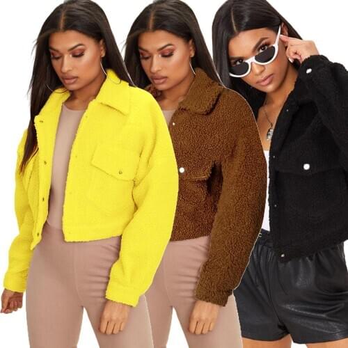 Women Elegant Faux Fur Coat Autumn Winter Plush Thick Warm Bear Teddy Jacket Coat Female Casual Outerwear Overcoat