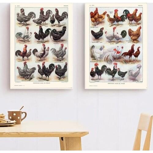 French Hens and Roosters Breeds Print Poultry Chickens Vintage Poster Kitchen Wall Art Painting Pictures Home Room Decor