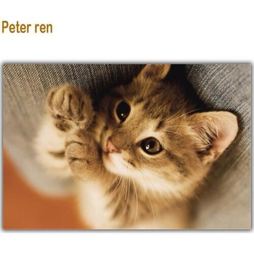 Peter ren Diamond painting Modular pictures of rhinestones 5d Round\Square drill Mosaic icon Full embroidery "Selling cute ca"