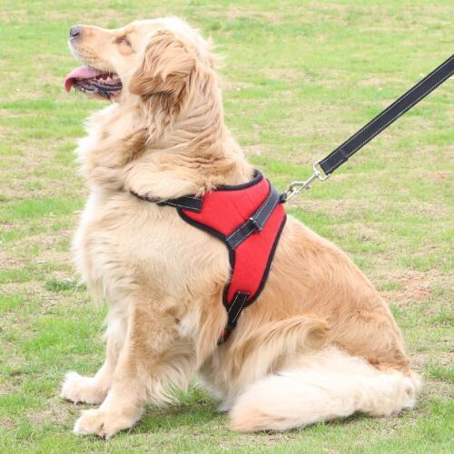 Manufacturers Direct Sales Of Fur Tao Thick Explosion-proof Wash Saddle Chest Vest Oxford Cloth Large Dog Rope Pet Supplies