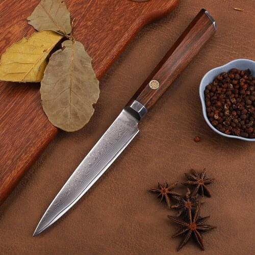 VG10 Damascus Steel 4.5-Lnch 67-Story Kitchen Multi-Function Dining Outdoor Wild Fruit EDC Tool Knife