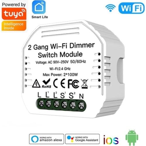 Tuya WiFi Smart Light Switch LED DIY Dimmer Module 2 Gang 2Way Smart Life APP Remote Voice Control For Alexa Google Home