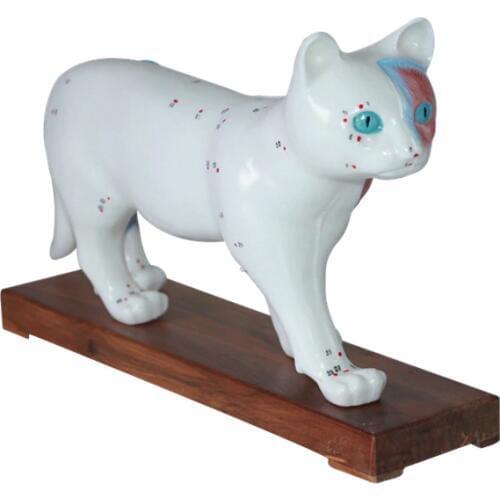 Cat acupuncture model Animal anatomical model Cat acupoint Veterinary teaching model