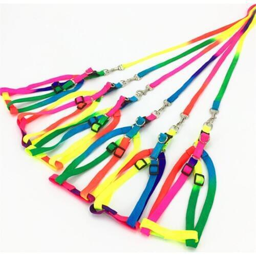 Traumdeutung Small Dog Collar Harness Leash For Cats Collar Dogs Pets Accessories Puppy Colorful Chihuahua harnais petit chien