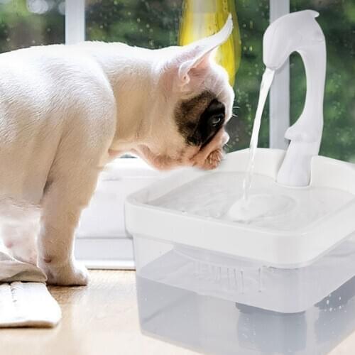 Cat Water Dispenser LED Electric Pet Drinking Automatic Fountain For Pet Mascotas Power Dispensador Cat Gift Accessories 2021 Ne