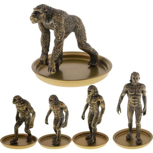 Simulation Human Evolution Ape Monkey Man Models Figures Toy Collection Display for Teaching Materials Prop