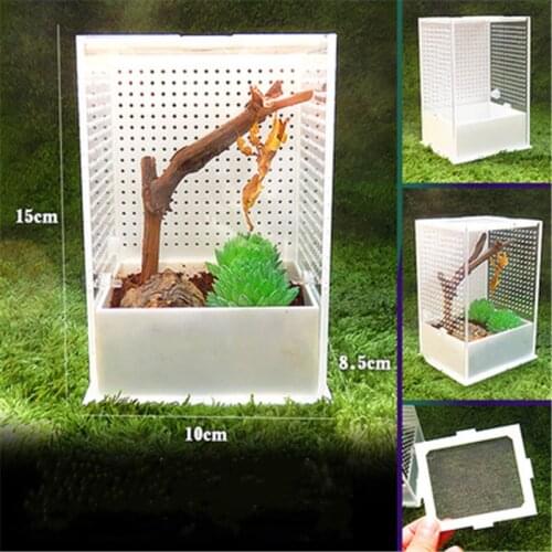 Mantis Feeding Case Insect Breeding Box Transparent Reptile Breeding Assembled Eco Box Pet Supply MantisCage Terrarium Container
