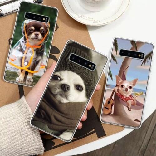 Chihuahua Puppy Teacup Dogs Silicon Phone Case For Samsung Galaxy A51 A71 A70 A50 A40 A30 A20E A10S A01 A21 A6 A7 A8 A9 Plus + C
