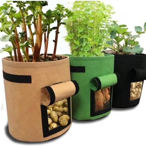 Xbees Outdoor Pots