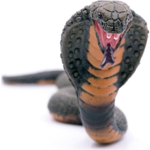 CollectA Wild Life Animals King Cobra Simulation Snakes PVC Plastic Figure Children Toys Model #88230
