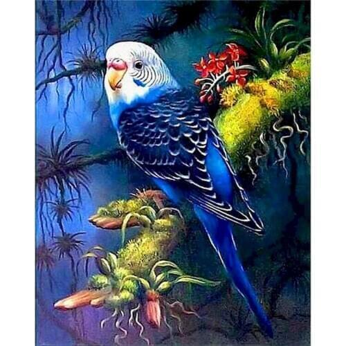 60x75cm Oil Painting By Numbers DIY Parot Drawing By Numbers On Canvas Animals Frame Digital Hand Painting Home Decor