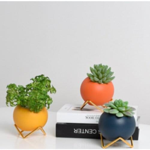 Modern Desktop Succulent Planter Ceramic Flower Pot for , Herbs, Cactus