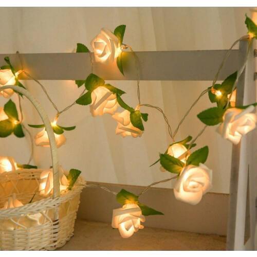Hapeisy LED Holiday Light Bulbs