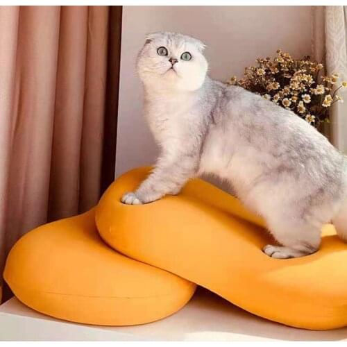 Sisher Orthopedic Sleep Pillows