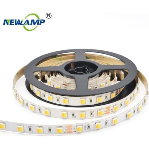 5050 CCT LED Strip Dual White 5050 WW/CW CCT Color Temperature 5M LED tape Lights DC12V/24V 2 Colors in 1 led strip