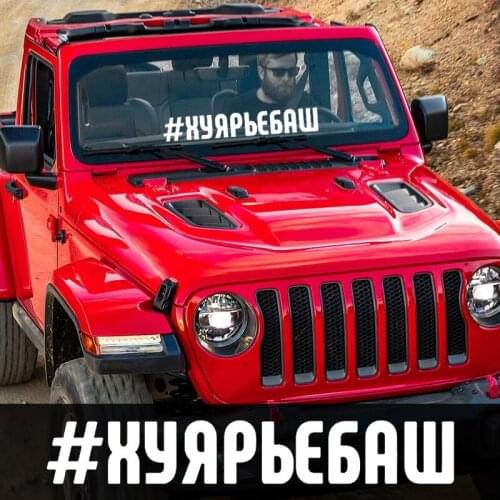 CS-1060#60*9cm you funny car sticker vinyl decal silver/black for auto car stickers styling car decoration