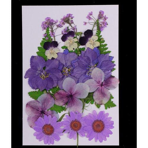 Multiple Mix Natural Pressed Dried Flowers Leaves Artificial Decorations for Greeting Card Making DIY Art Craft 2.5-3.5cm