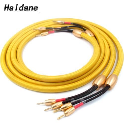 Haldane pair HIFI Accuphase 40th Audio Speaker Cable Loudspeaker Cable 24k Gold Plated Banana Plug for Hi-fi Systems
