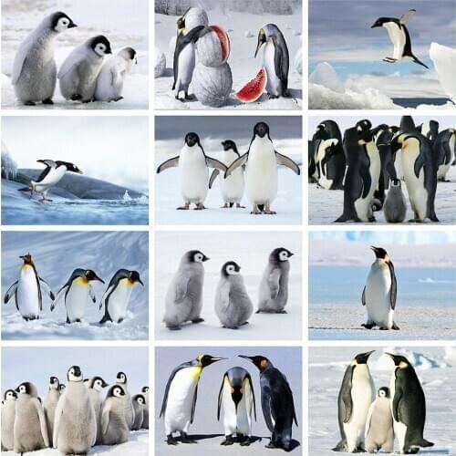 14/16/18/22/25/28ct 11CT Printing Penguin Embroidery Animals Cross Stitch Rhinestone Art