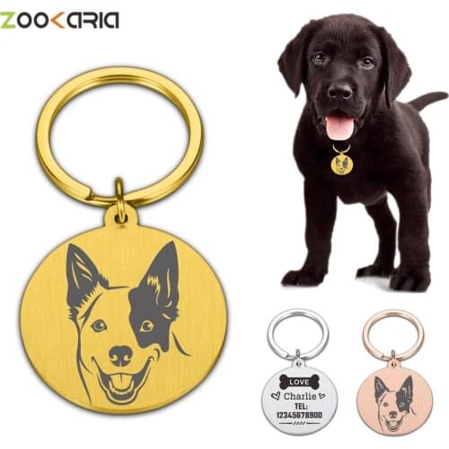 Anti-lost Dog ID Engraved Custom Owner Notes Cat Dogs Pet Harness Pendant Dogs Collar Accessoires Supplies Help Pets Go Home
