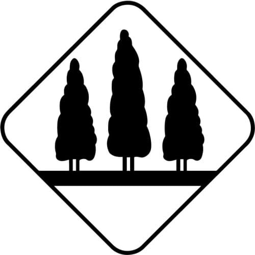 15.5X15.5CM Forest Trees Scratch Decoration Decal Creative Car Sticker Accessories