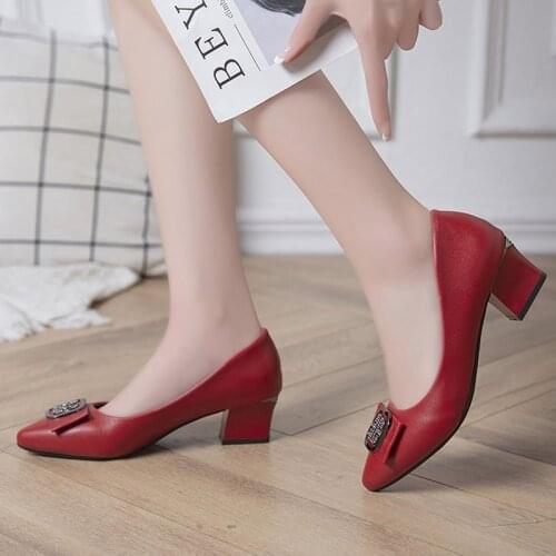 Plus Size 35-42 Women Pumps Pointed Toe Mid Heels Dress Shoes Ol Office Lady Shoes Chunky Boat Shoes Metal Ladies Shoes 9096N