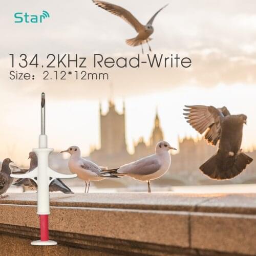 10pcs ISO Fdx-b RFID Chip Dog Syringe Transponder 2*12mm Pet Id Chip Injector for Cattle Sheep