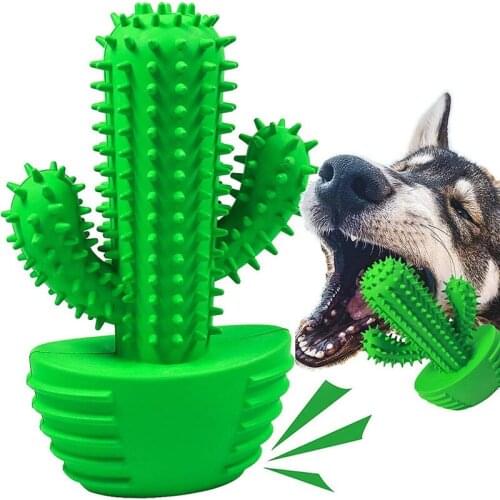 Dental Chew Toys For Dogs Healthy Fresh Puppy Teeth Cleaning Brush Cactus Large Breed Dog Molar Toothbrush Stick Pet Supplies