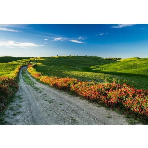 Highland prairie photo backgrounds vinyl travelling vlog shooting photo backdrop for photography studio props fotografia lv-1932