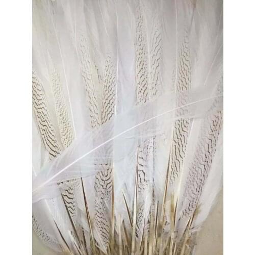 Wholesale 50pcs White Pheasant Silver Feather Tail 50-55cm Pheasant tails lady amhurst pheasant tail Feathers for carnival decor