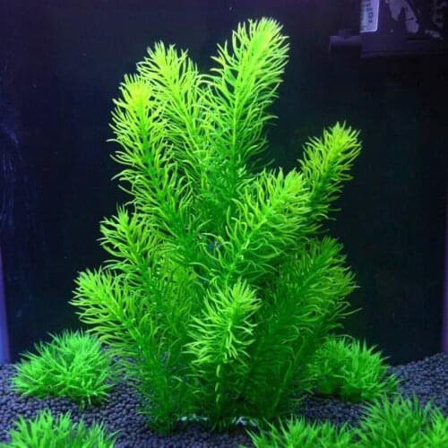 Plastic No Harm Long Simulation Aquarium Green Fake Water Grass Fish Tank Ornament Decoration Artificial Green Plant