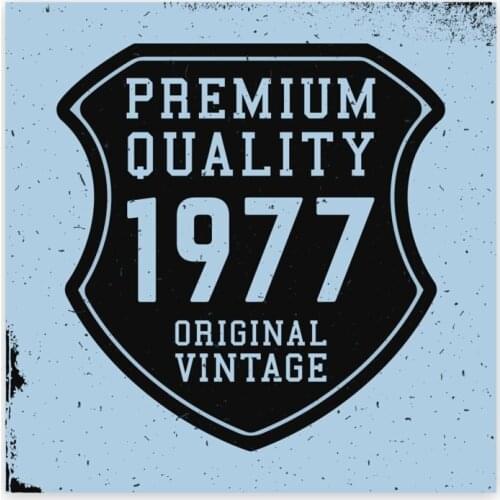 1977 Vintage Sticker Plane Extreme