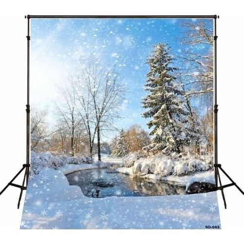 VinylBDS Winter Photo Backdrops Frozen Snow Winter Photography Backgrounds Sunshine Snowflakes Blue Sky Backdrops Photo Studio