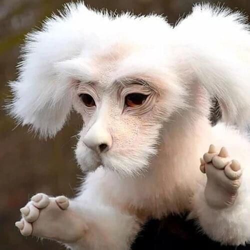 Luck Dragon Falkor Doll Plush Toy Doll Stuffed Animal Dolls Neverending Story White Dragon Doll Cute Dragon Plush Birthday Gift