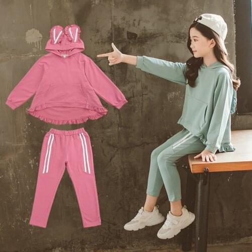 New Arrive Children Clothing Sets Costumes For Kids Sport Suits Hoodies+Pants Tracksuit Sets Cute Cartoon Baby Girls Clothes