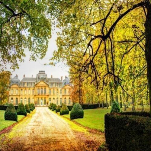 Dropship Colomac Wood Wallpaper European And American School Tree Sunshine Modern Wallpaper Wall Mural Bedroom Carta Da Parati