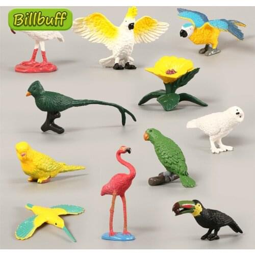 10pcs Mini Simulation Jungle Bird Toy Animal Model Parakeet Action Figure Decoration Model Educational toy for children Kid Gift