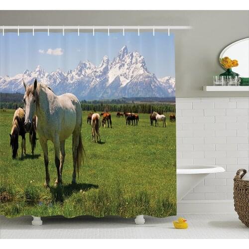 National Parks Home Decor Shower Curtain Equestrian Decor Snow Idyllic Mountain Peaks Arabian Horse Art Prints Bathroom Curtains