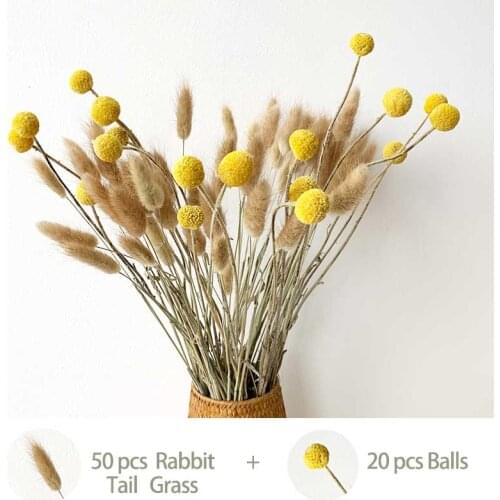 Natural dried flowers Lagurus Ovatus Rabbit Tail Grass billy-Ball flowers Eucalyptus Branches Real Dried cotton Flowers NEW HOT