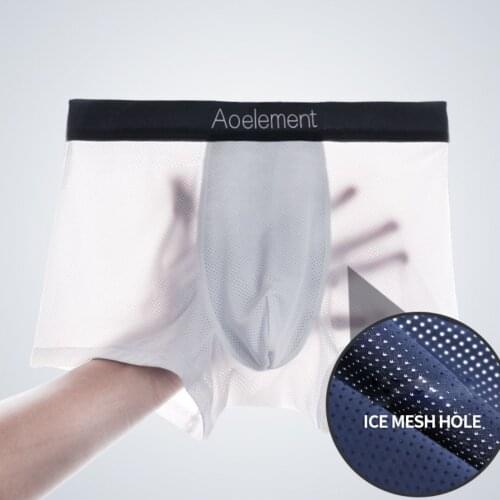 2022 Top Transparent Mesh Underwear Boxer Male Anti-Best Mens Panties For Gay Sleep Bottoms Free Gun Briefs Perfume Fancy 175KM