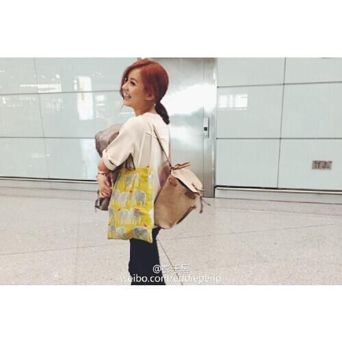 PURFAYCanvas Capacity Women Shoulder Bag Cotton Tote Shopper Bag Eco Reusable Travelling bag Cloth Messenger Bag Yellow Elephant