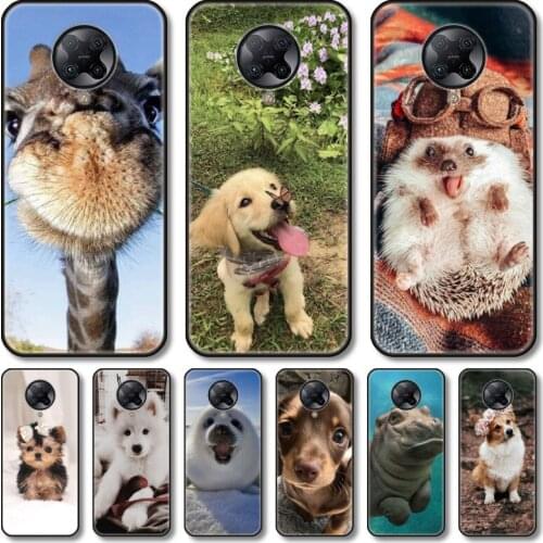 Cute animals Phone Case For xiaomi M2 C3 X3 F2 Lite NFC 6 5 x Poco k30 Pro Anime Black Cover Silicone Back Pretty tpu