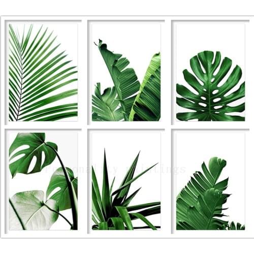 5D DIY Diamond Painting Green Plant Monstera Banana Leaf Diamond Mosaic Tropical Leaves Embroidery Cross Stitch Home Decor Gift