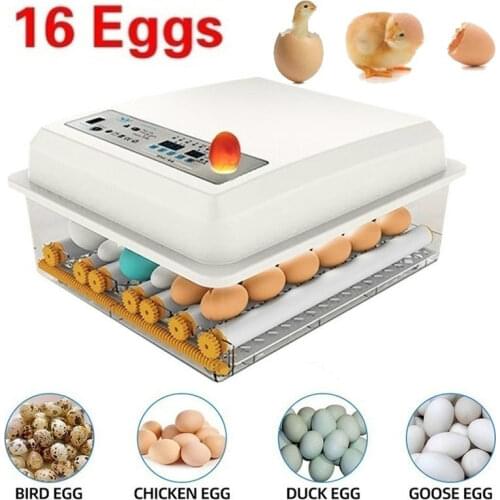 Brooder Hatchery Egg Incubator Automatic Incubatores with Turner for Farm Hatching Goose Quail Chicken Eggs Egg Hatcher Machine